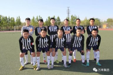 足球联赛落幕 万率队喜获冠军(2019.6.25)