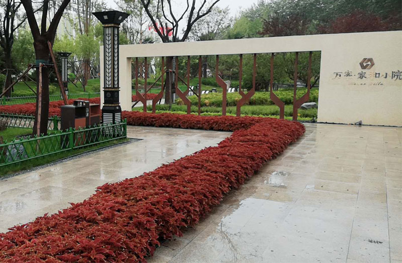 万率·平乡家和小院景观图